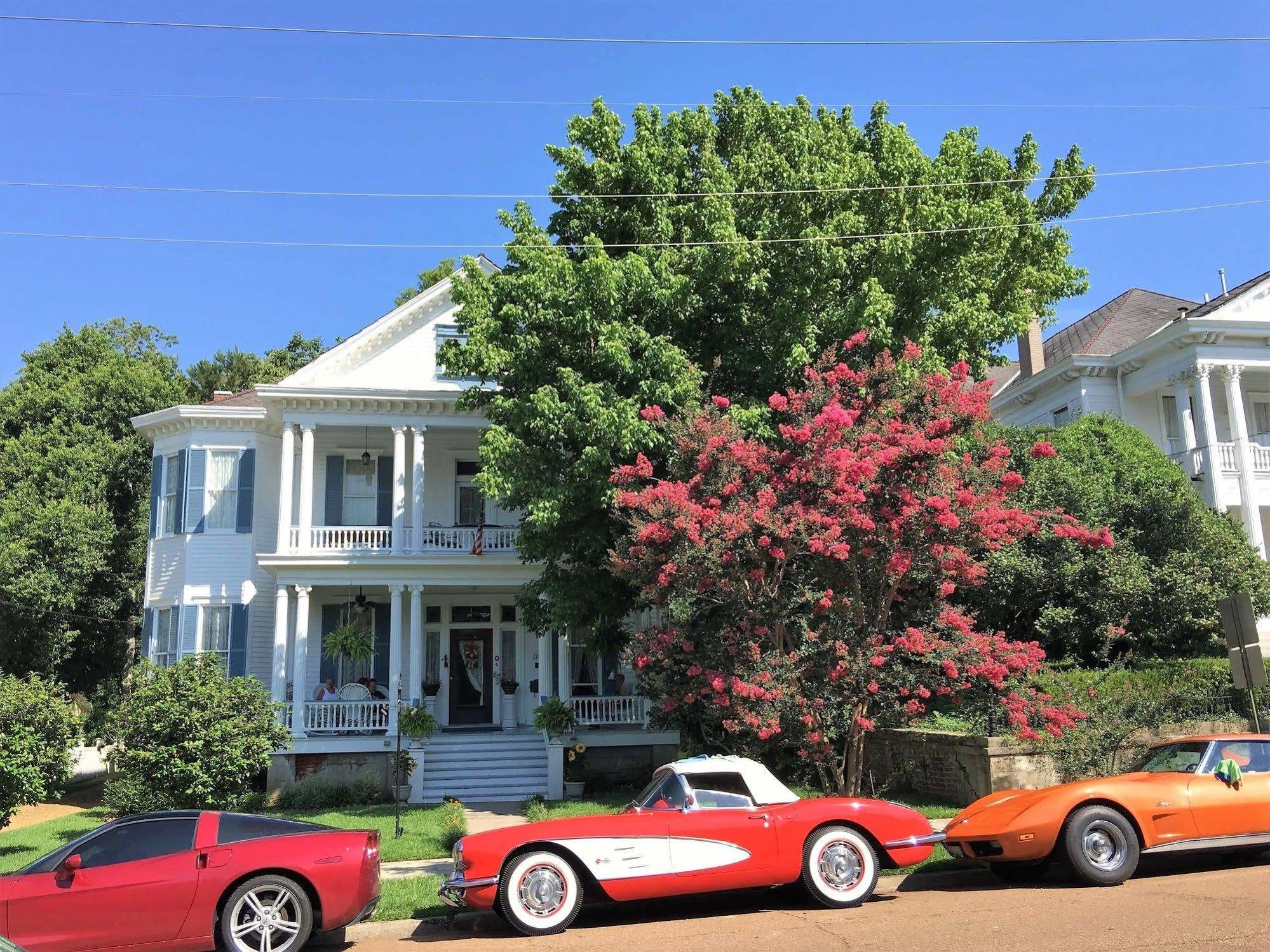 Bisland House Bed And Breakfast 纳奇兹 外观 照片